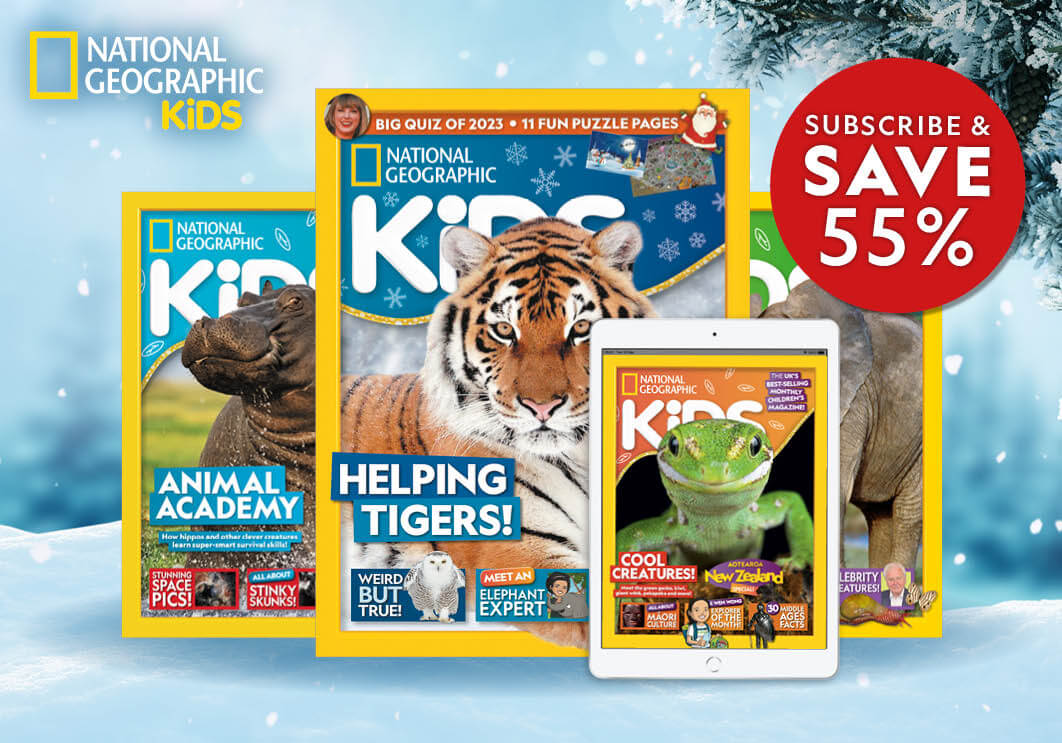 National Geographic Kids Subscription Review